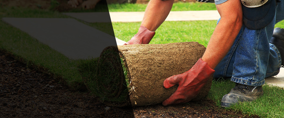 Swampscott Landscapers